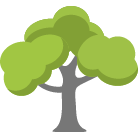 Littleton Tree Trimming