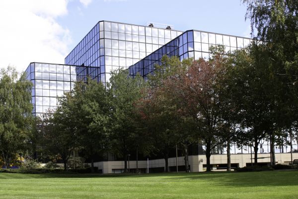 Cost of Commercial Tree Trimming in Littleton